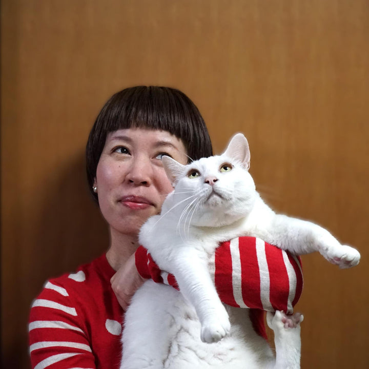 猫と日本画がひらく、やわらかな光の世界――伊藤清子インタビュー