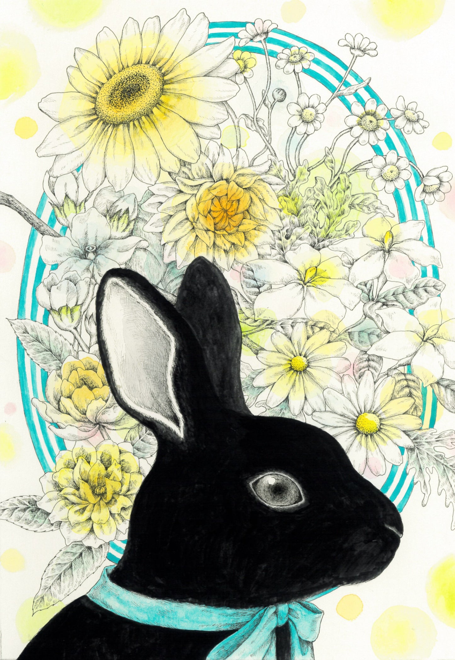 真昼の黒うさぎ