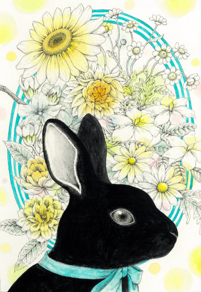 真昼の黒うさぎ