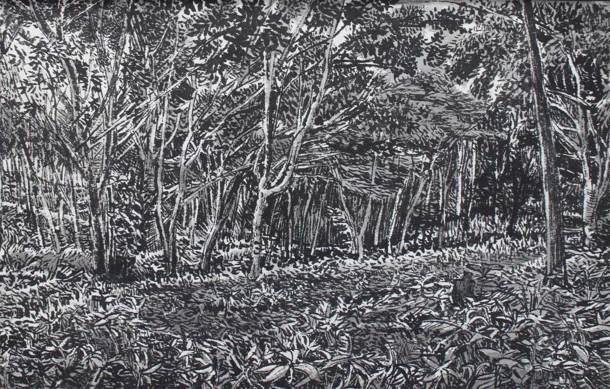 Minna no Mori, Mochio Park