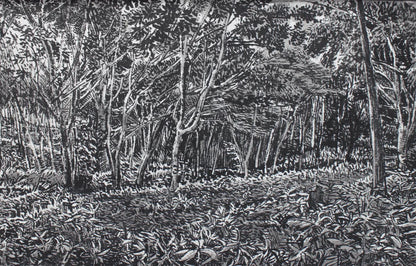 Minna no Mori, Mochio Park