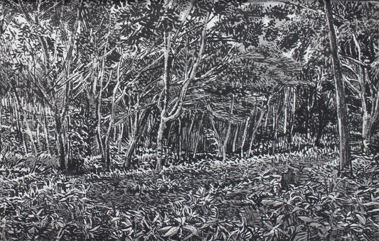Minna no Mori, Mochio Park