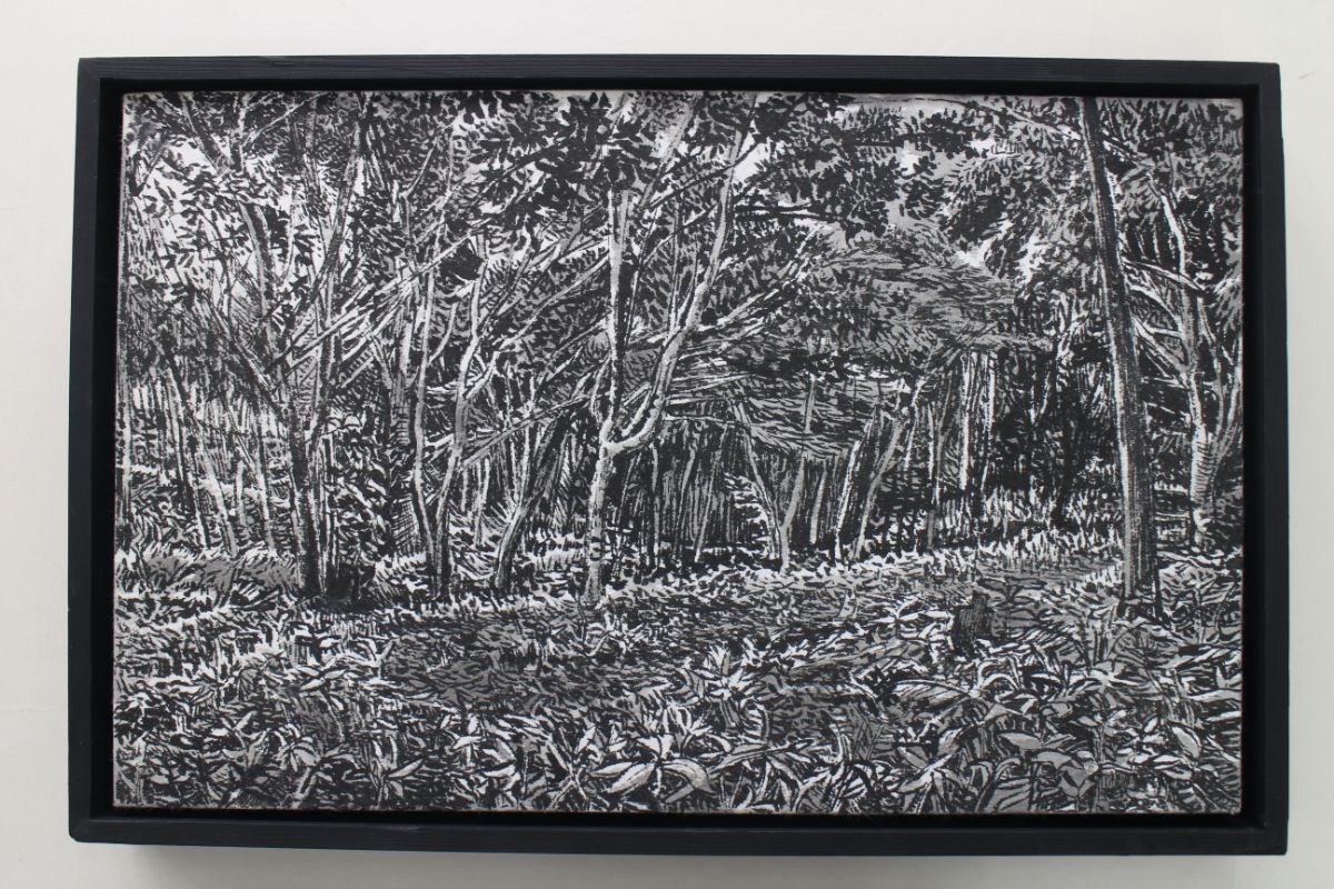 Minna no Mori, Mochio Park
